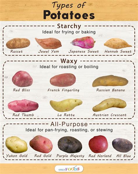 what foods are similar to sweet potato